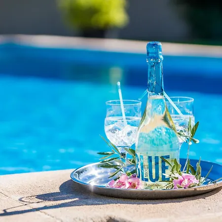 Ideal Mallorca - Verga * Pollensa