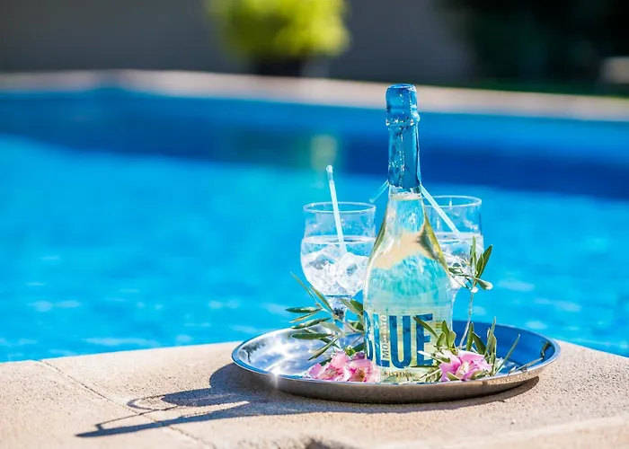 Ideal Mallorca - Verga * Pollensa