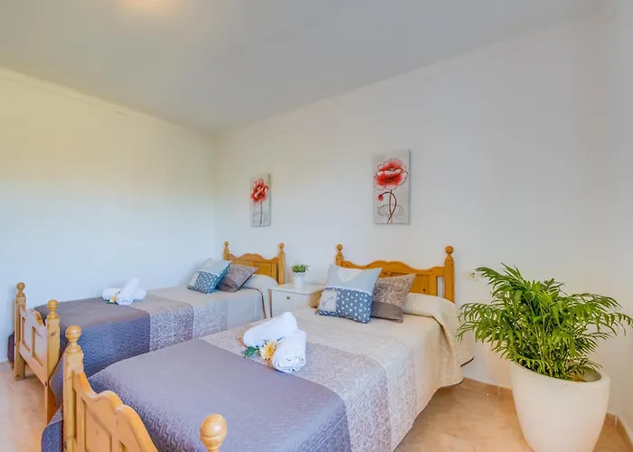 Ideal Mallorca - Verga